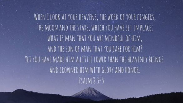 psalm 8 3 5